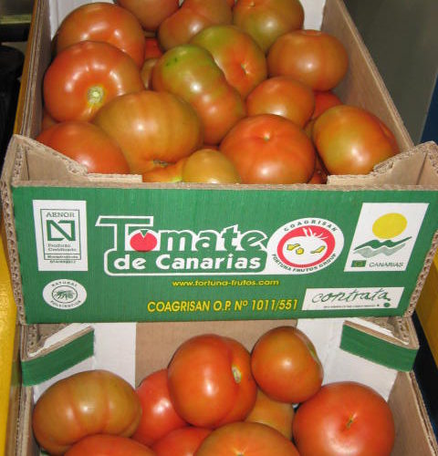 Cajas de tomate
