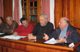 Viceconsejera de agricultura