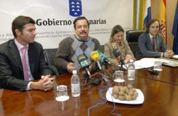 Papas, integrated production