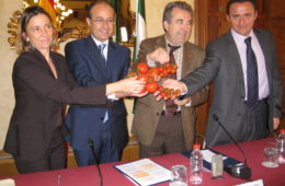 Counselors Summit Tomato