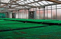 agroenergético greenhouse.