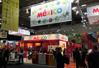 Stand de Mexico and Fruit Logistica 2015.