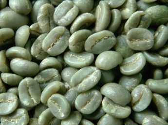 Granos de café verde.