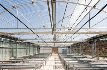 Univ greenhouse Murcia2