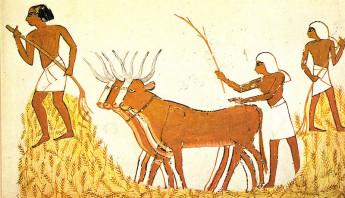 Actividad agrícola en el antiguo Egipto
