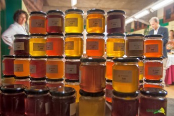 verschiedene Honigsorten
