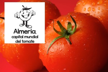 Almería tomate capitale mondiale