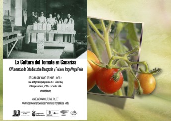 Tomato culture in the Canary Islands